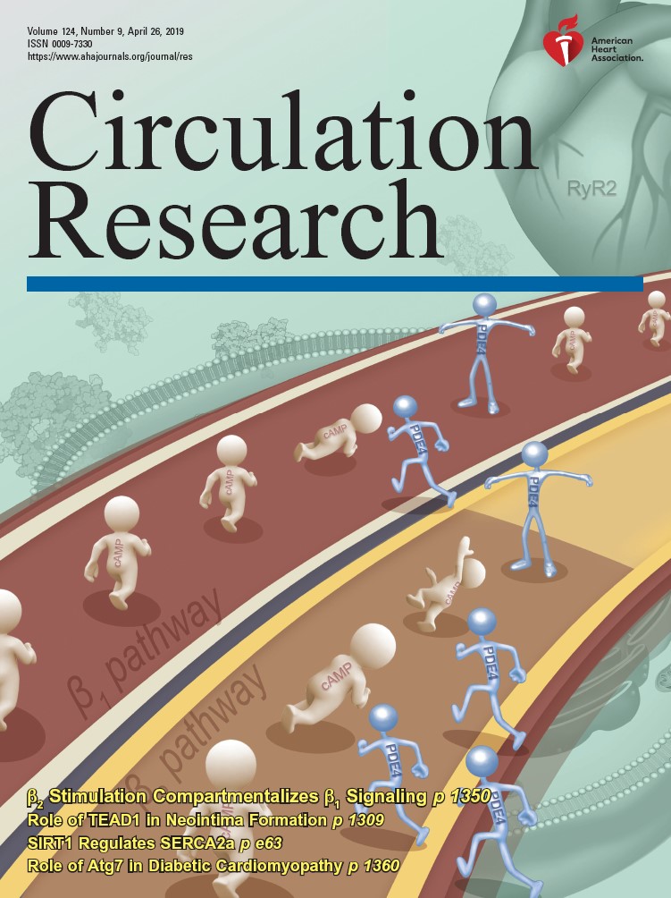 circulation research封面|王世强组与合作者发现交感神经递质调控