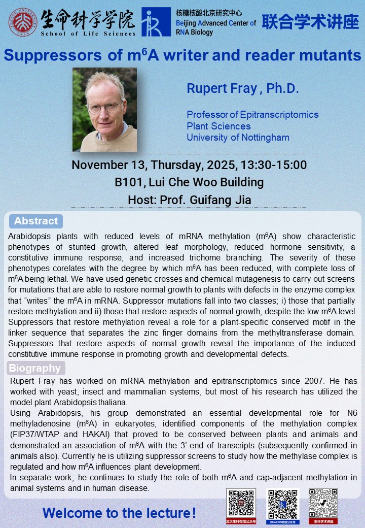 RNA中心联合学术报告-11.13.jpg